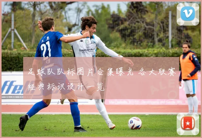 足球队队标图片合集曝光 各大联赛经典标识设计一览