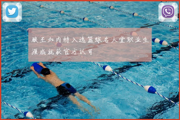 狼王加内特入选篮球名人堂职业生涯成就获官方认可
