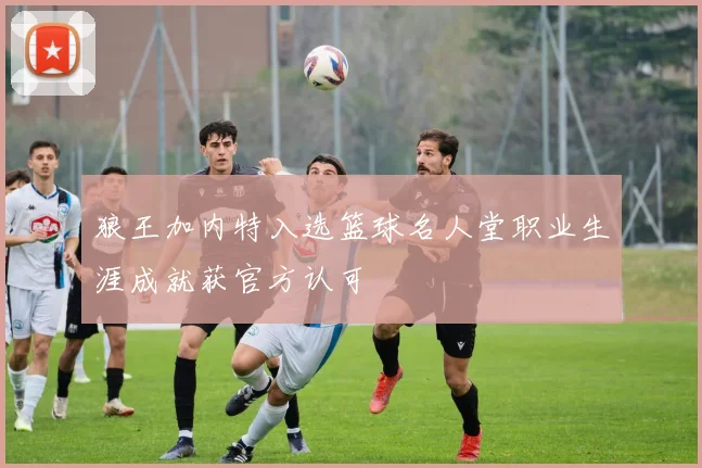 狼王加内特入选篮球名人堂职业生涯成就获官方认可