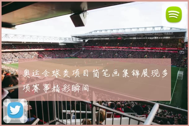 奥运会球类项目简笔画集锦展现多项赛事精彩瞬间