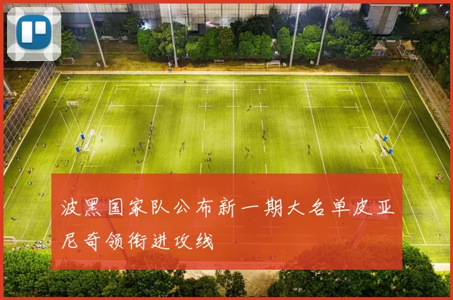 波黑国家队公布新一期大名单皮亚尼奇领衔进攻线