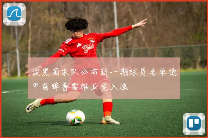 波黑国家队公布新一期球员名单德甲前锋普雷维亚克入选